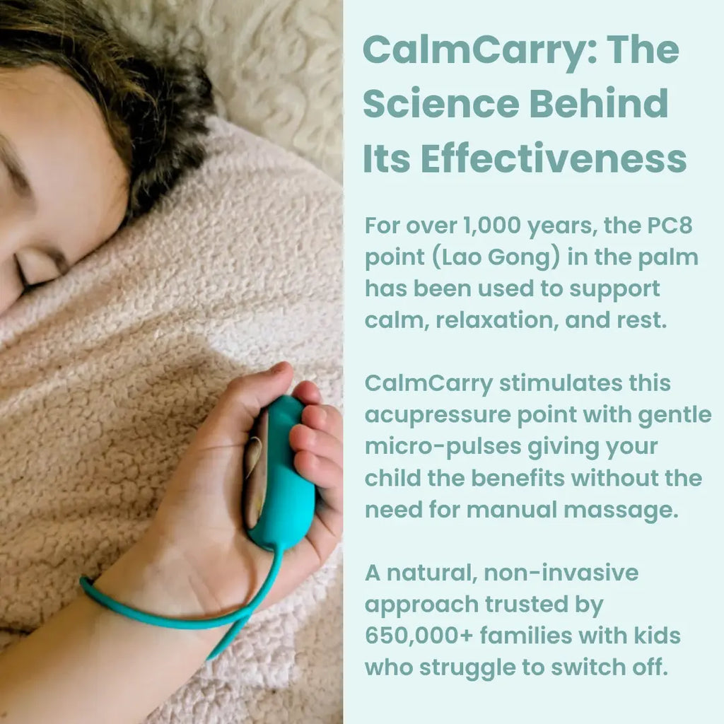 CalmCarry® Kids Mini Bear